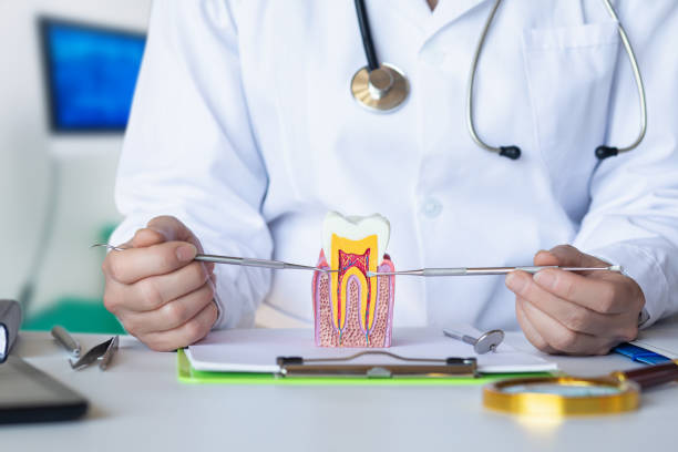 Best Emergency Dental Care for Abscessed Tooth in Liberty Lake, WA